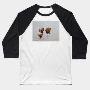 Rose Mallow Baseball T-Shirt